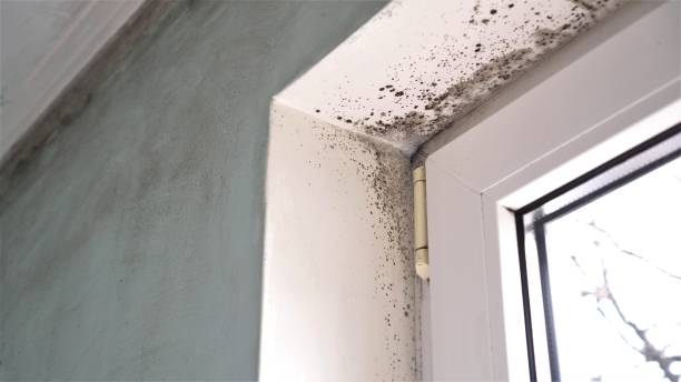 Water Damage Restoration in Flushing, MI