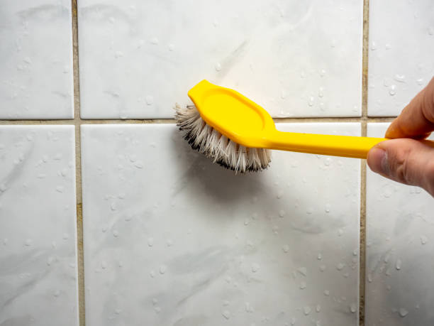 Best Mold Remediation  in Flushing, MI