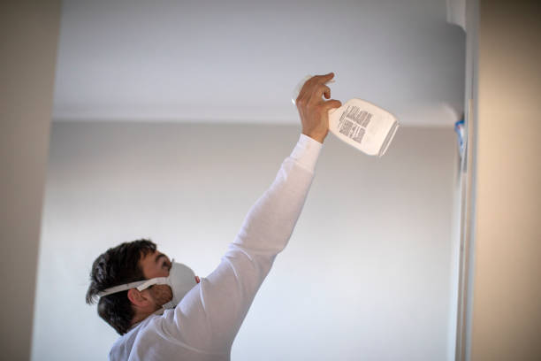 Best Office Mold Removal Services  in Flushing, MI