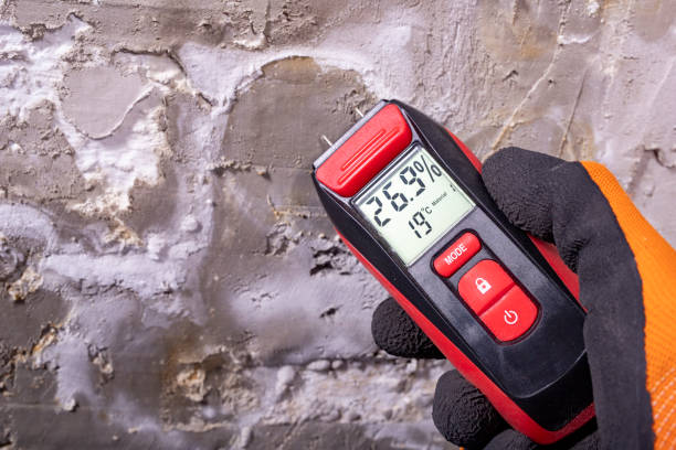 Best Crawl Space Mold Removal  in Flushing, MI