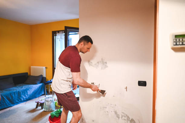 Crawl Space Mold Removal in Flushing, MI