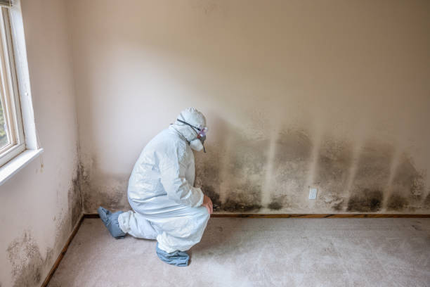 Best Mold Testing  in Flushing, MI